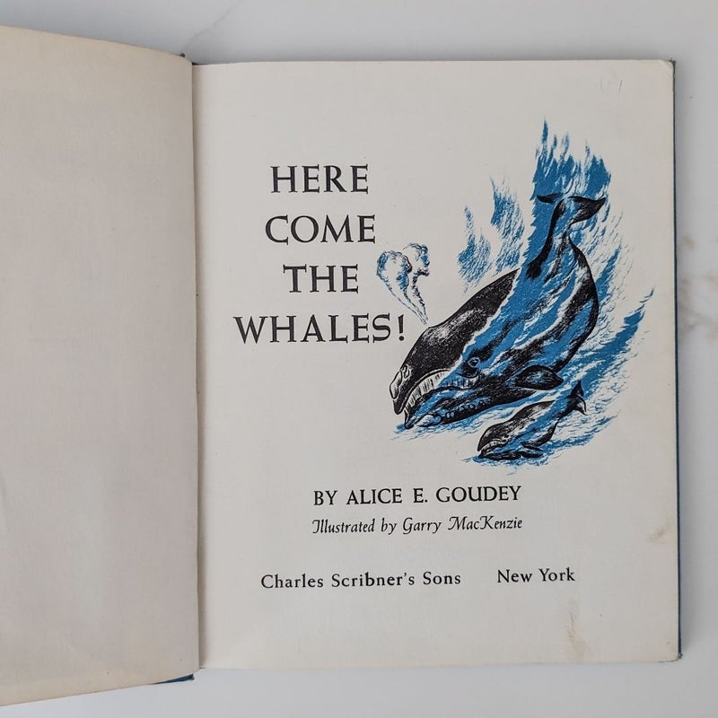 Here Come the Whales! ©1956 **rare**
