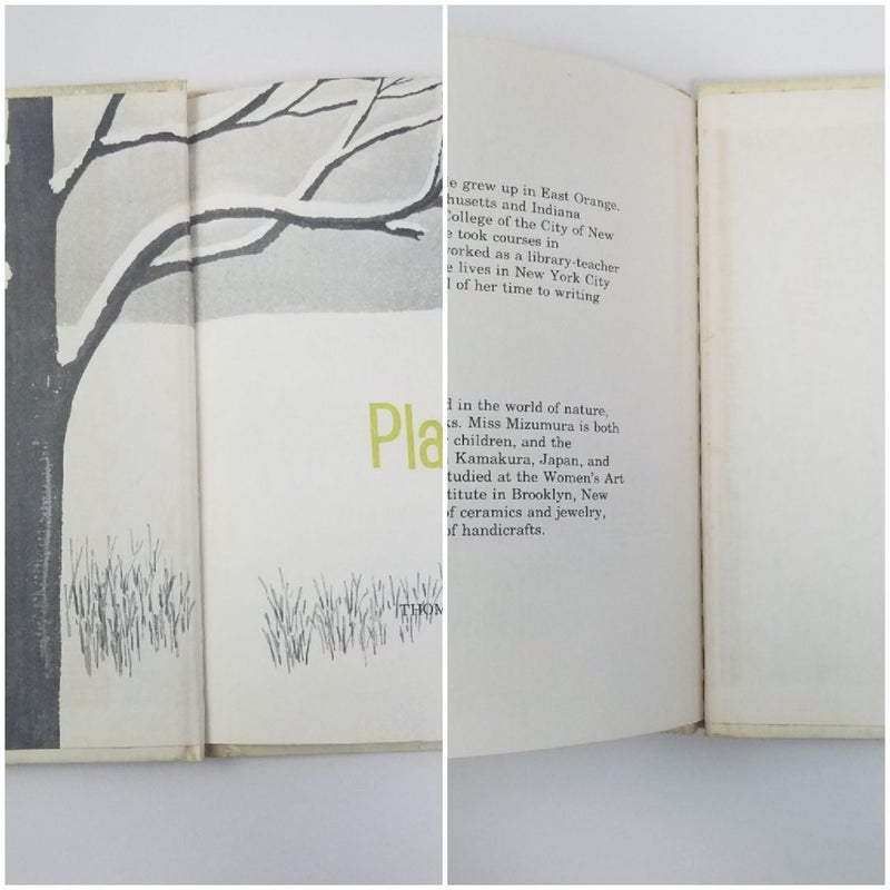 Plants in Winter 1973 (Let's Read And Find Out Science)