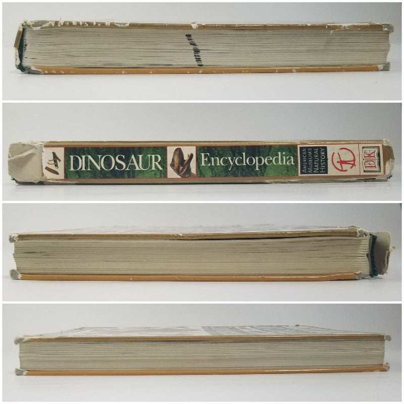 Dinosaur Encyclopedia DK