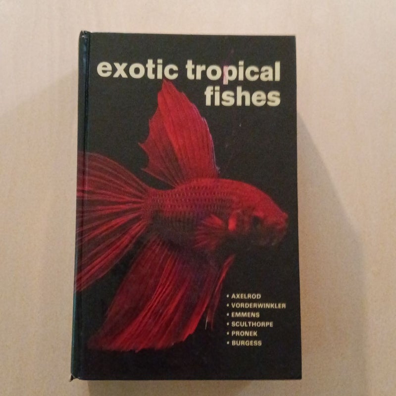 Exotic Tropical Fishes