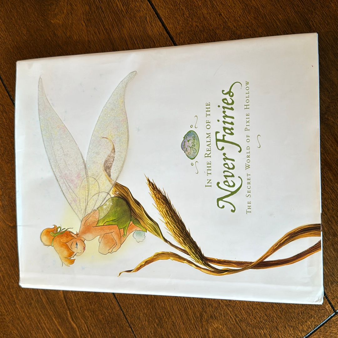 In the Realm of the Never Fairies