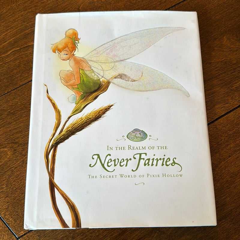 In the Realm of the Never Fairies