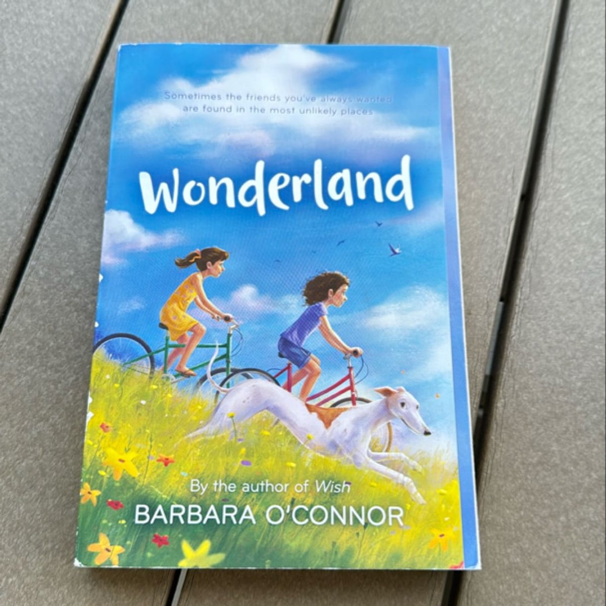 Wonderland by Barbara O'Connor