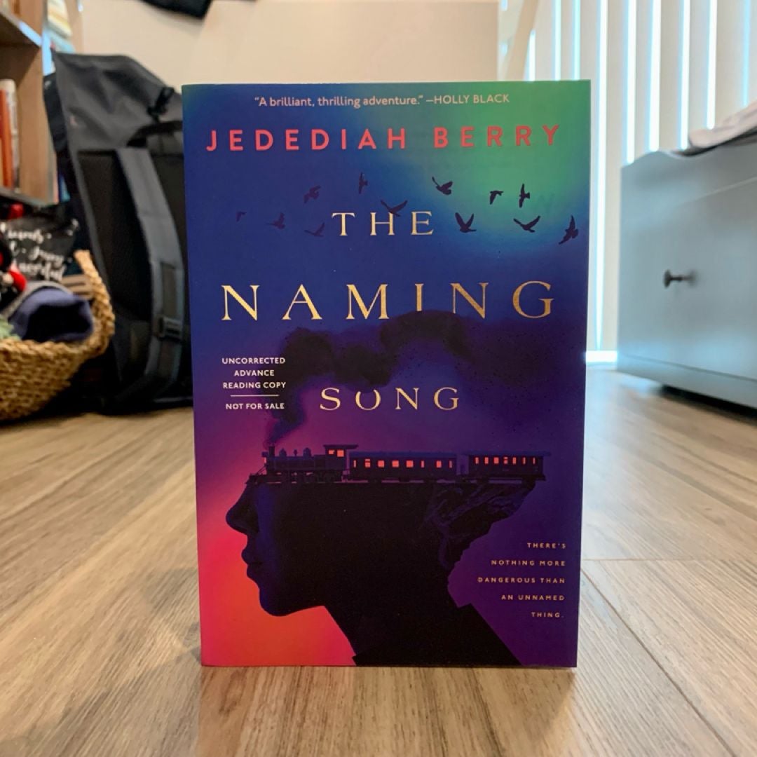 The naming song by jedediah berry