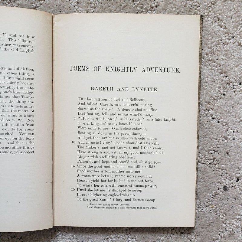 Poems of Knightly Adventure (University Publishing Edition, 1897)