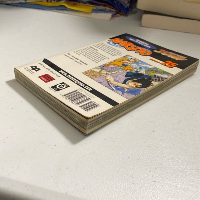Naruto, Vol. 25