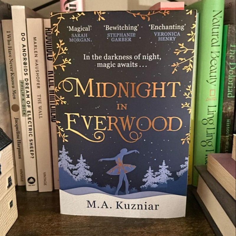 Midnight in Everwood