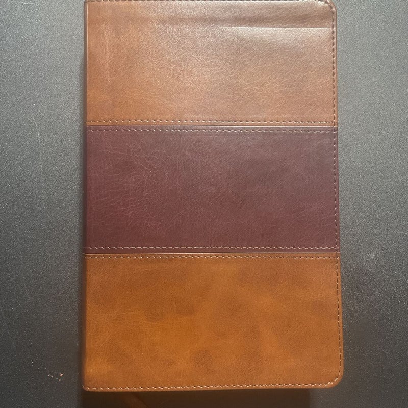 KJV Large Print Personal Size Reference Bible, Saddle Brown Leathertouch