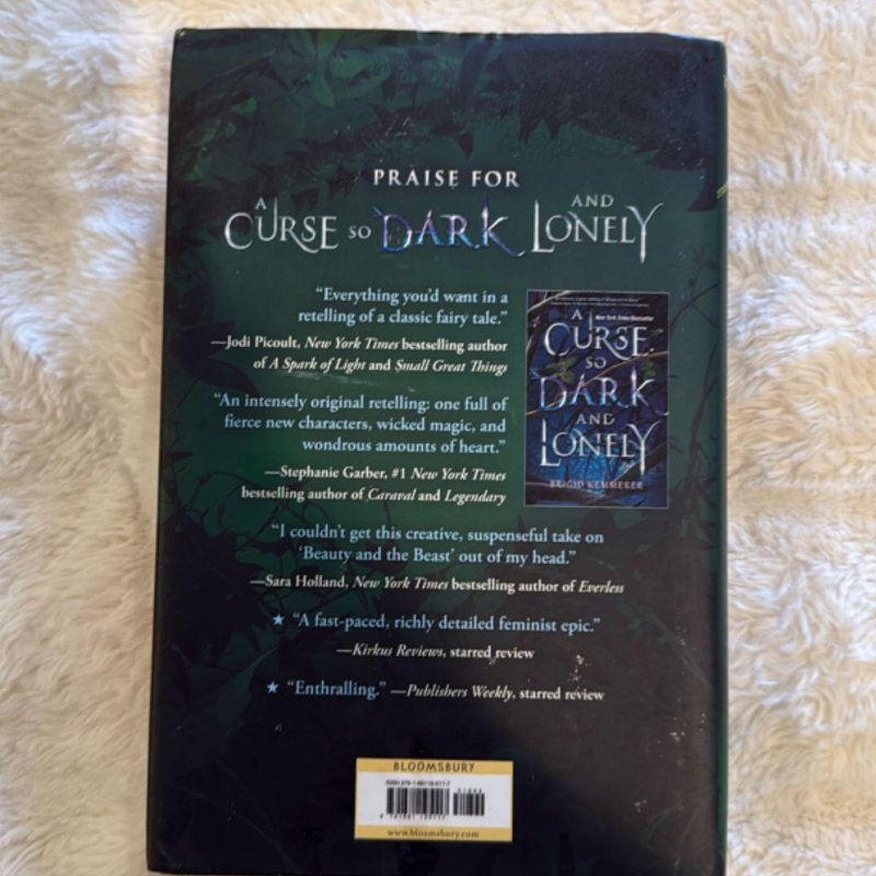 A Heart So Fierce and Broken