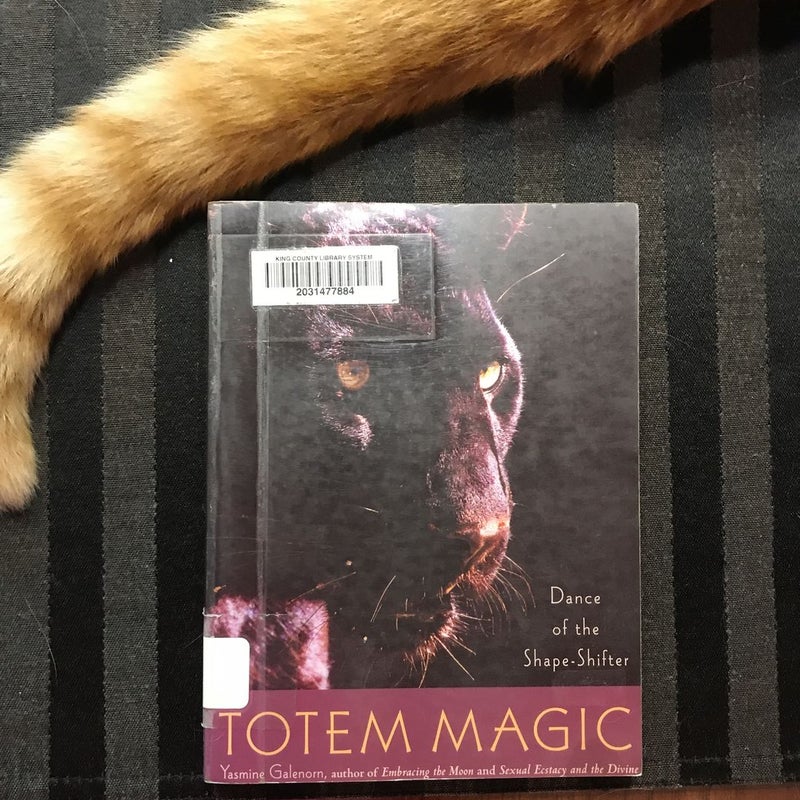 Totem Magic