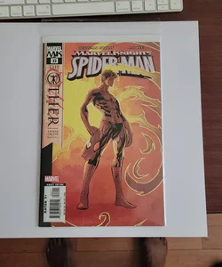 Marvel Knights Spider-Man #22