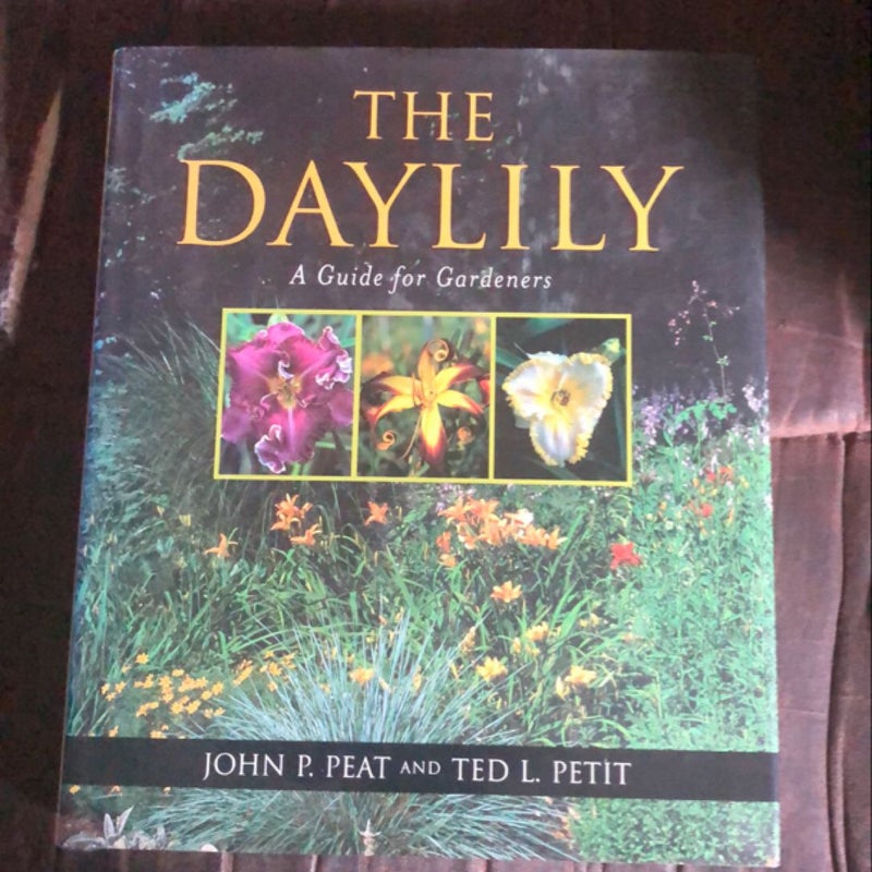 The Daylily