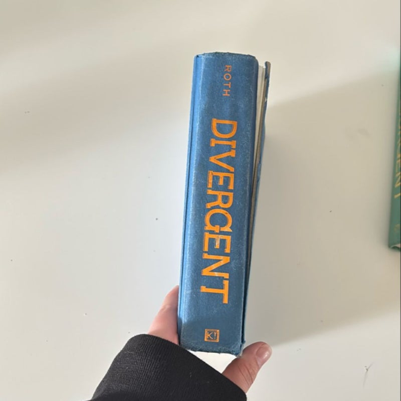 Divergent Series