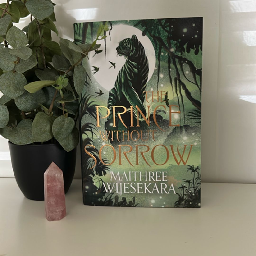 The Prince Without Sorrow