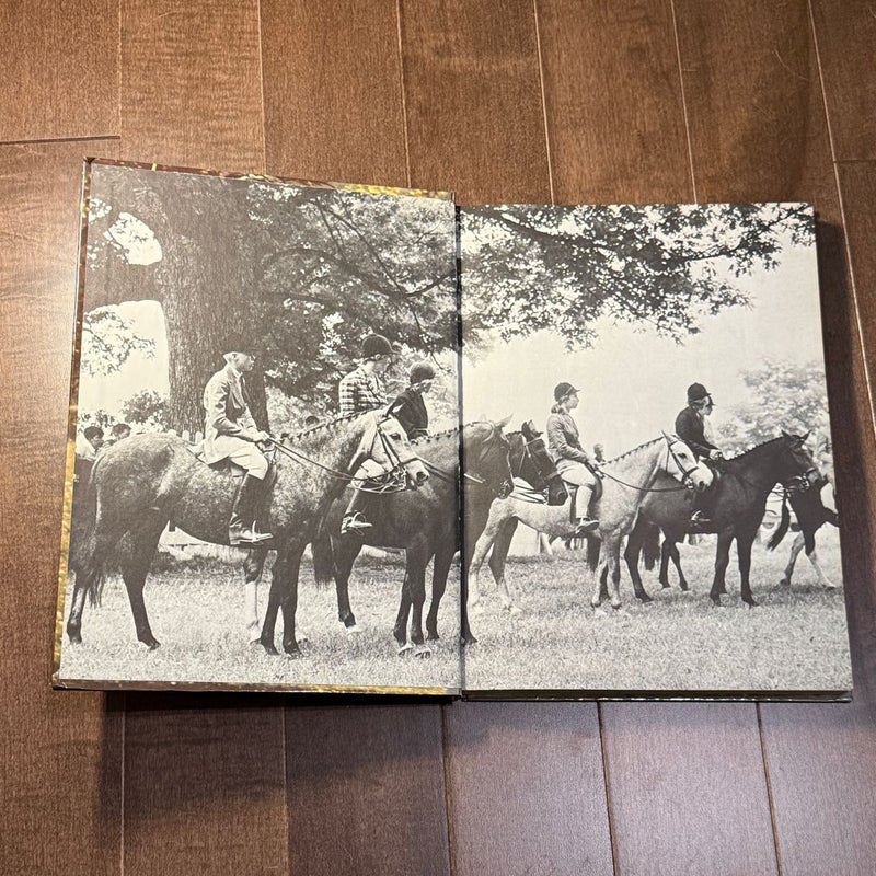 All about Horses