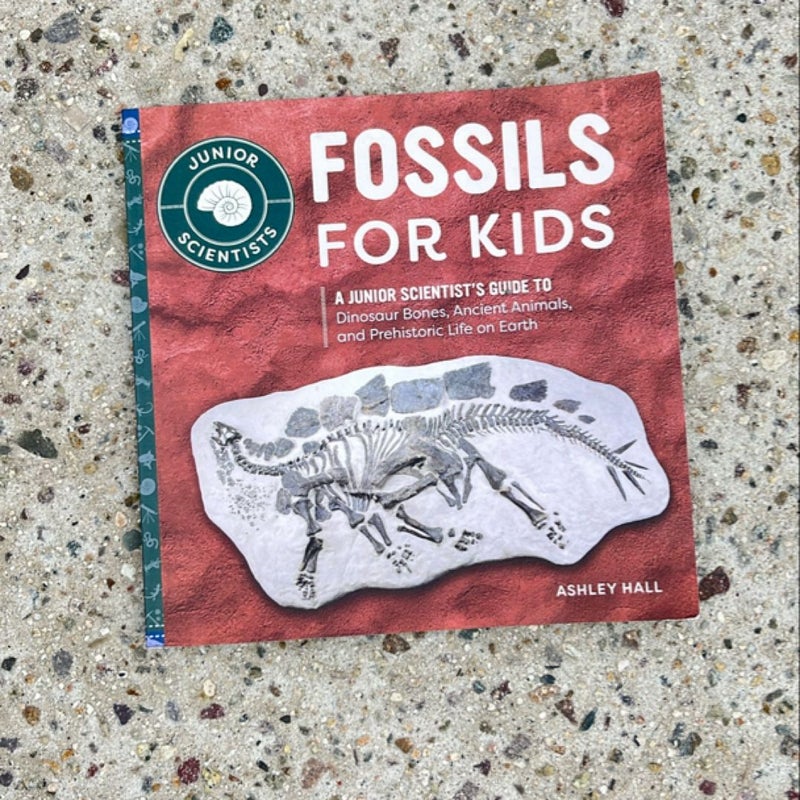 Fossils for Kids