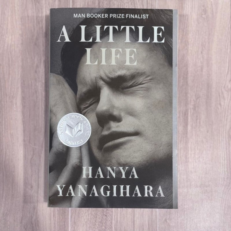 A Little Life
