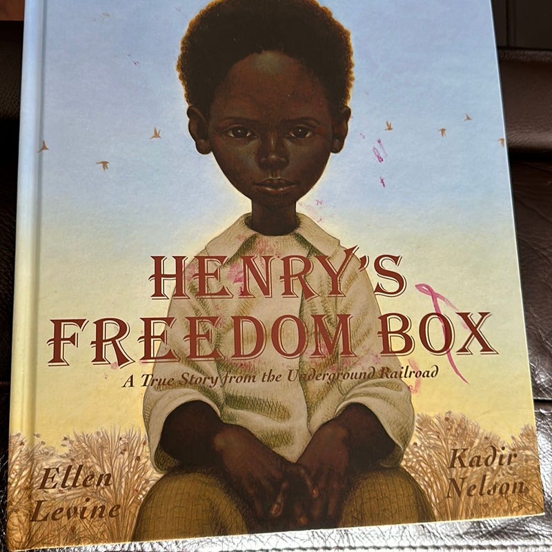 Henry’s Freedom Box