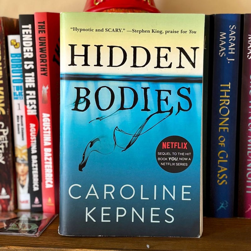 Hidden Bodies