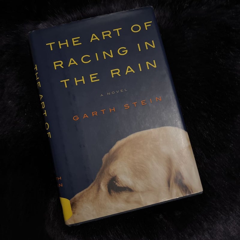 The Art of Racing in the Rain