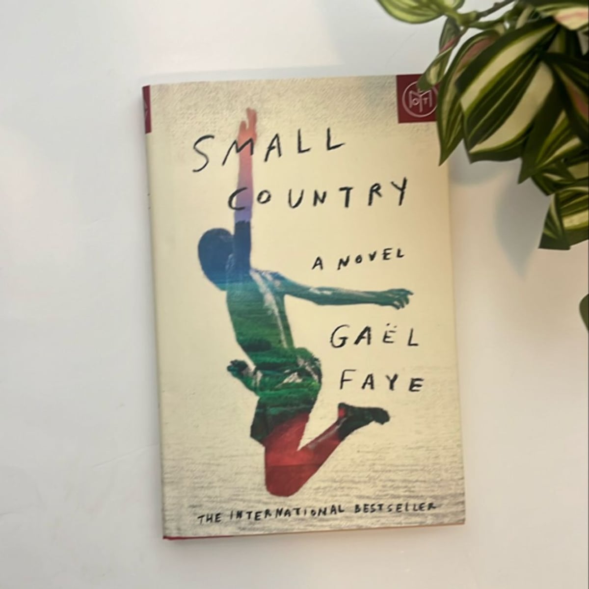 small-country-by-ga-l-faye-hardcover-pangobooks