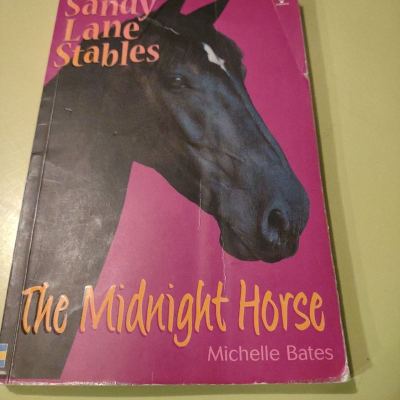 Midnight Horse (Sandy Lane Stables)