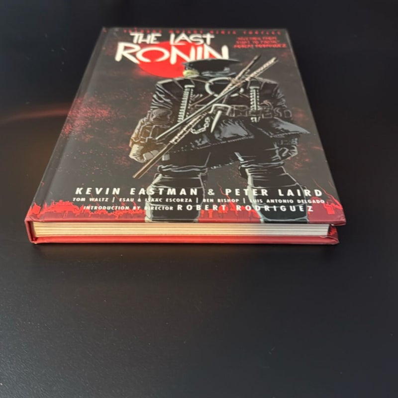 Teenage Mutant Ninja Turtles: the Last Ronin