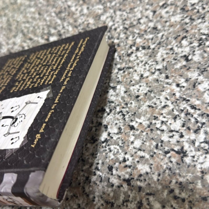 Diper Överlöde (Diary of a Wimpy Kid Book 17)