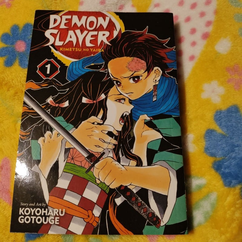 Demon Slayer: Kimetsu No Yaiba, Vol. 1