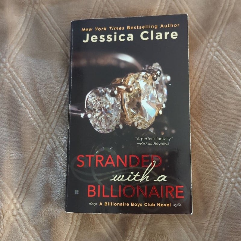 Stranded with a Billionaire