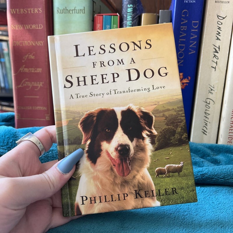 Lessons from a Sheep Dog