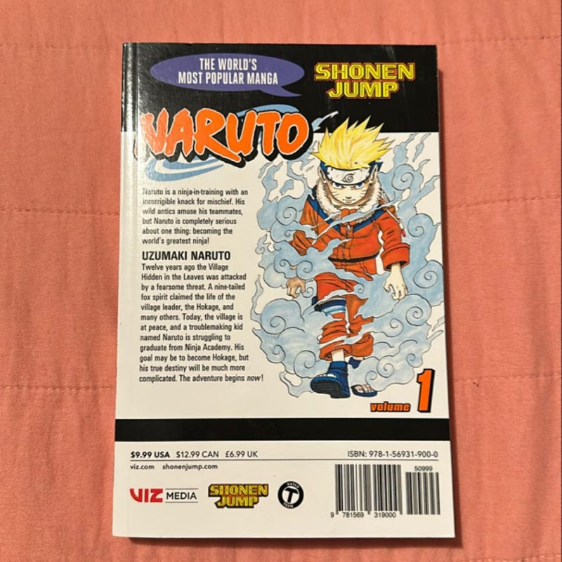 Naruto, Vol. 1