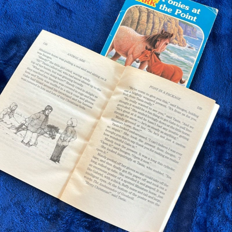 BOOK BUNDLE: Ponies at the Point and Pony in a Package