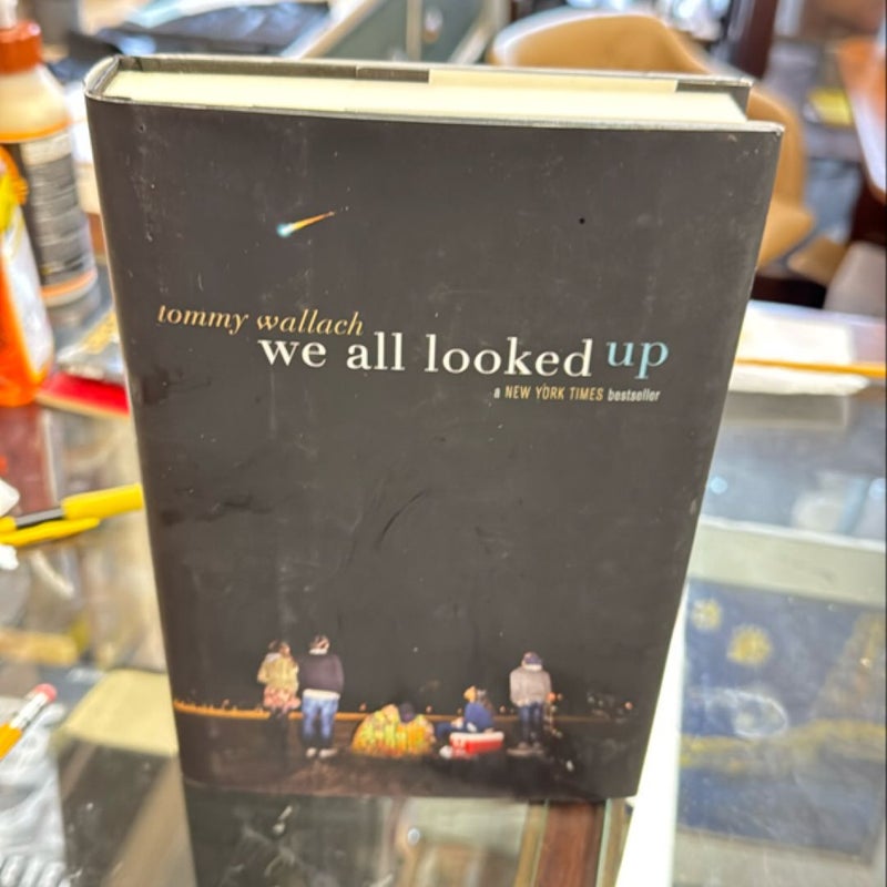 We All Looked Up