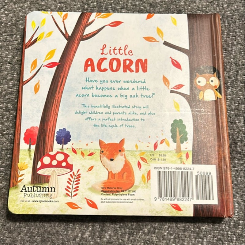 Little Acorn