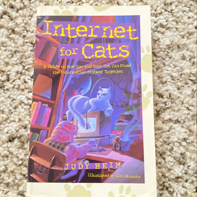 Internet for Cats