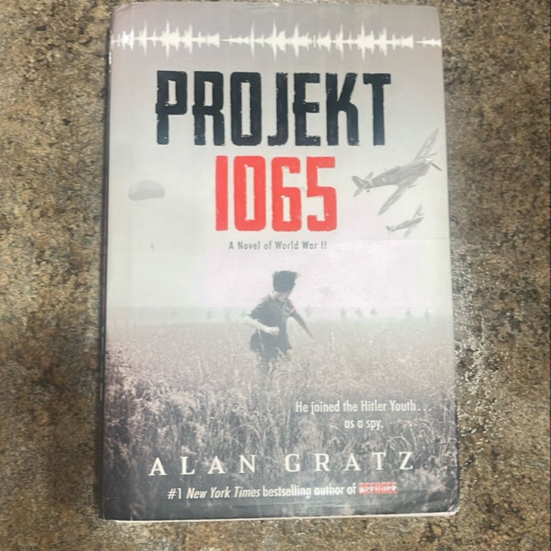 Projekt 1065