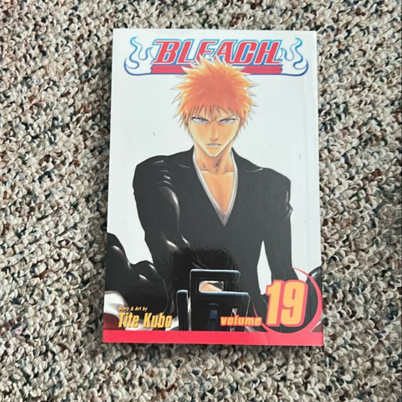 Bleach, Vol. 19