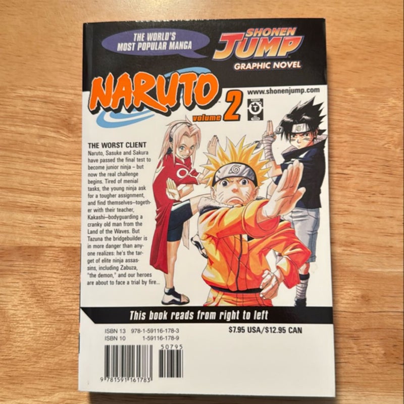 Naruto, Vol. 2