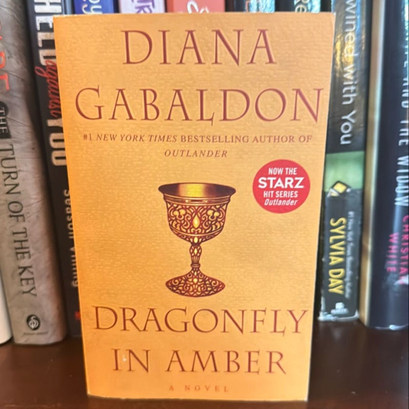 Dragonfly in Amber