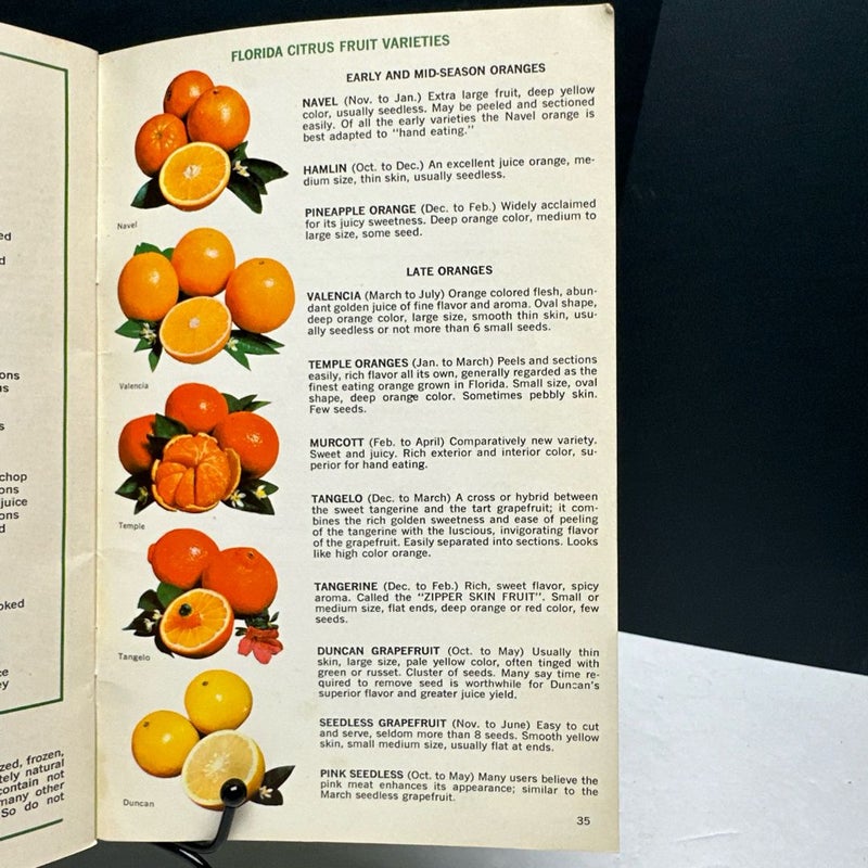 Famous Florida Chefs Favorite Citrus Recipes Vintage Cookbook Booklet W/Photos