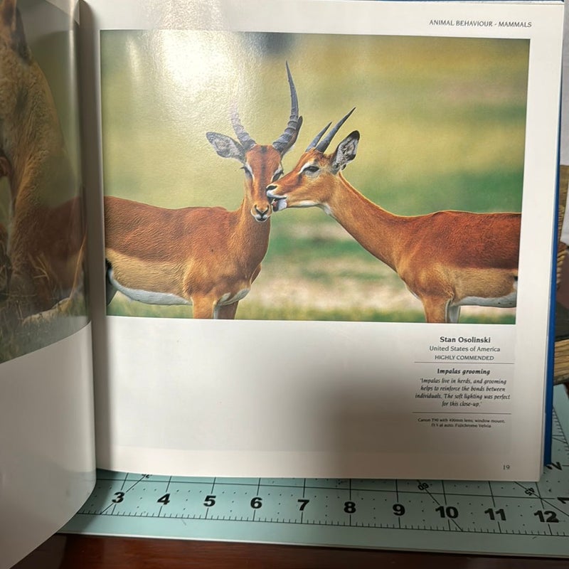 Wildlife Photograph of the Year Portfolio Three