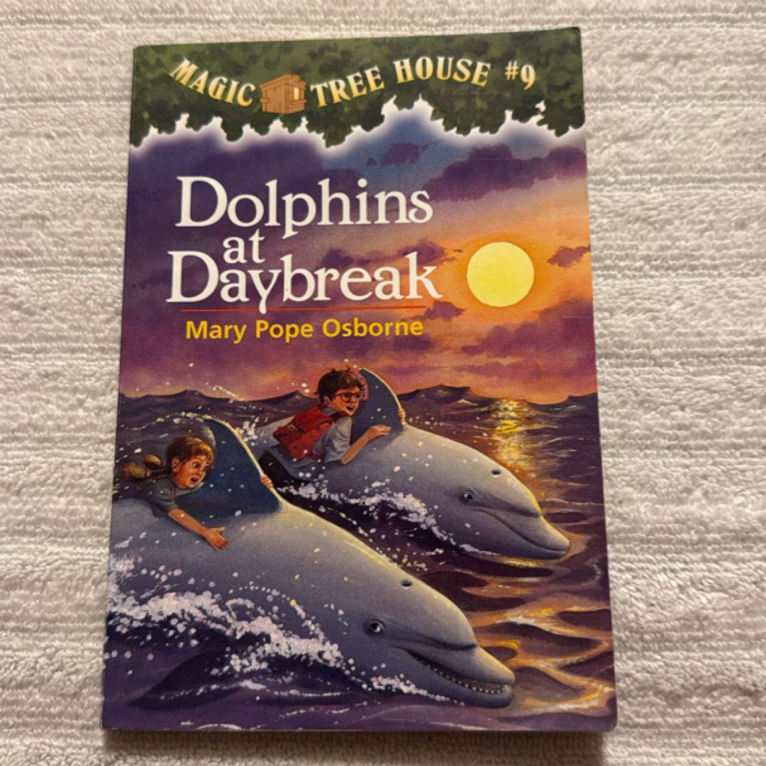 Dolphins at Daybreak