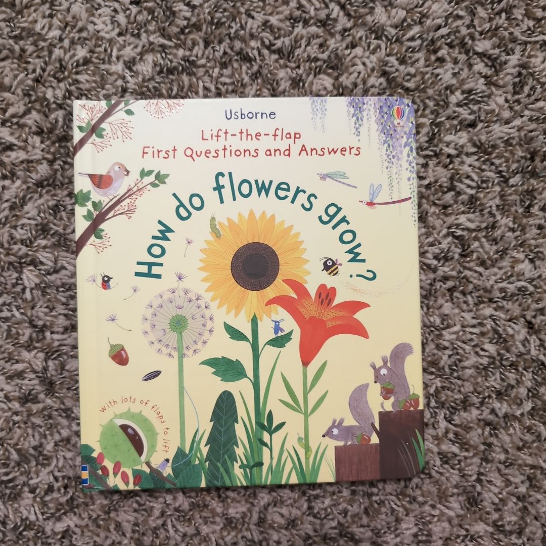 The Usborne Big Book of Vacation Things to Make and Do