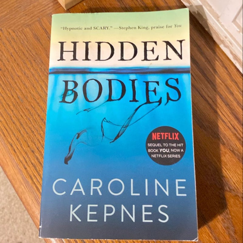 Hidden Bodies