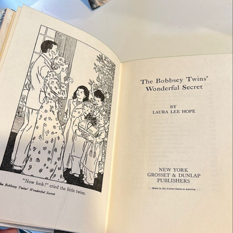 The Bobbsey Twins Wonderful Secret