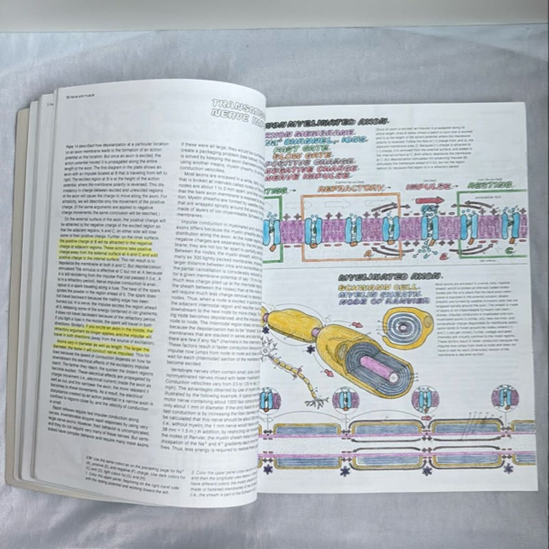 The Physiology Coloring Book