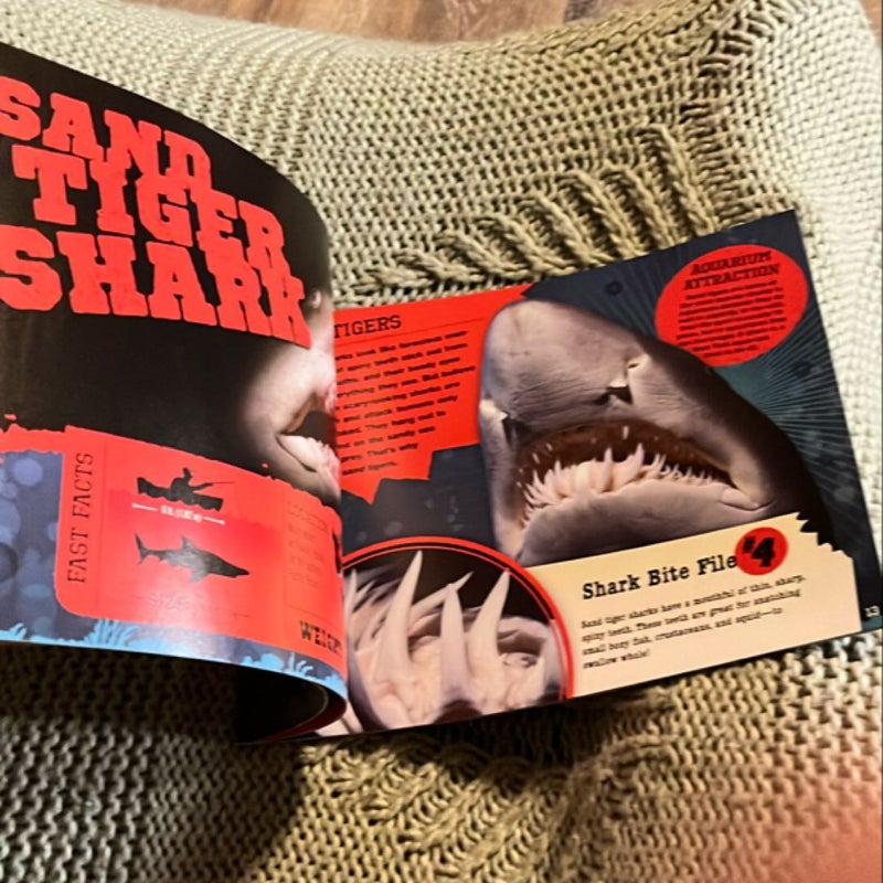 Sink Your Teeth Into... Sharks!