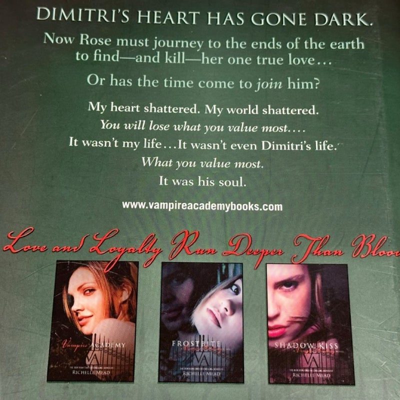 Blood Promise Vampire Academy 