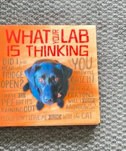 What Your Lab Is Thinking